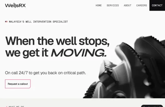 Screenshot of WellsRX website