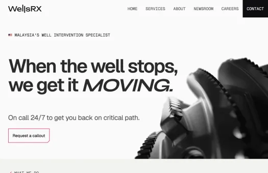 Screenshot of WellsRX website